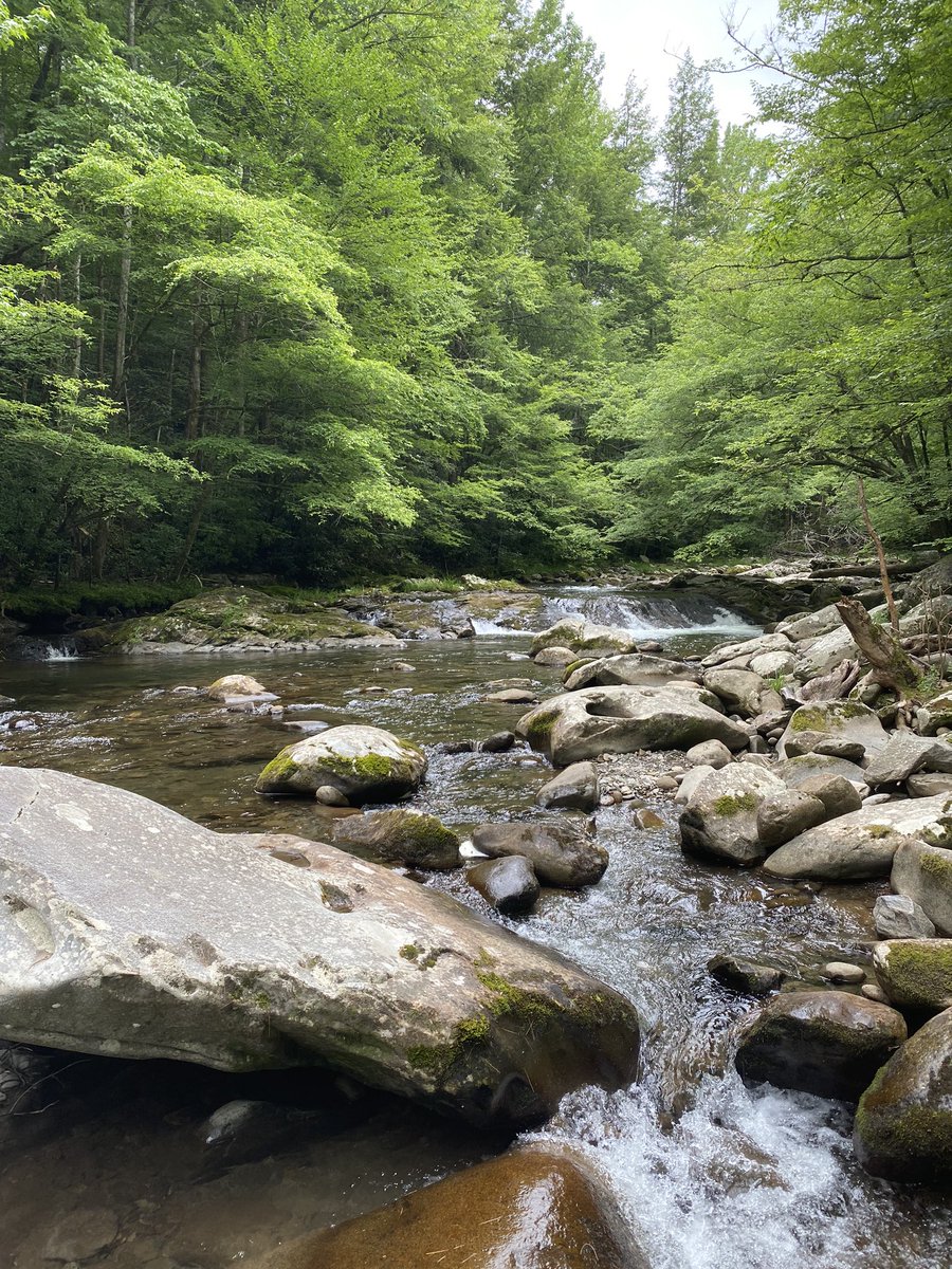 A nice day in the Smokies.