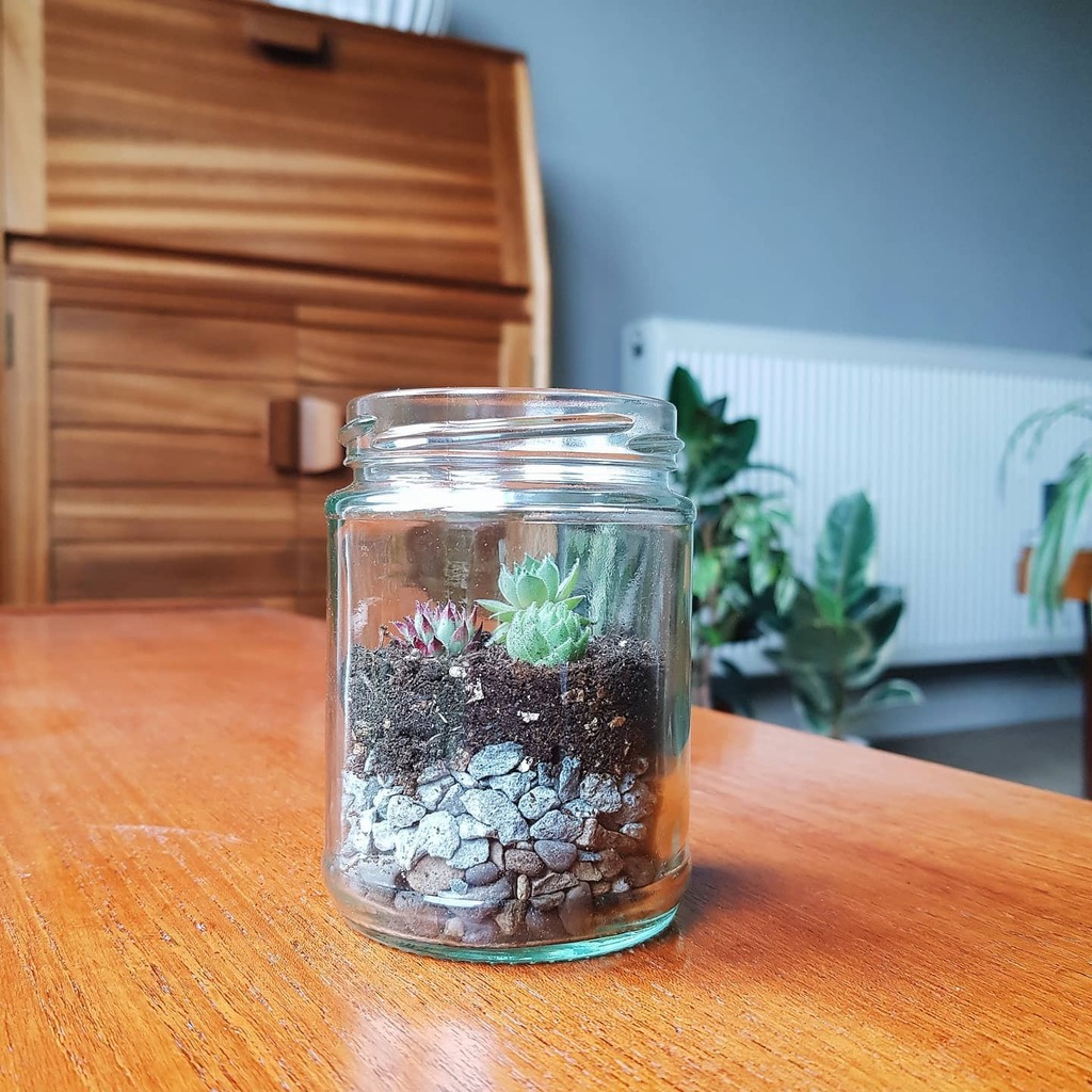 Seedhouseplants's tweet photo. New terrarium kits coming soon 🌵🌵🌵
.
.
.
.
.
#succuents #terrarium #terrariums #terrariumlove #terrariumdreams #terrariumsofinstagram #terrariumworkshop #terrariumlife #terrariumdesign #terrariumjewelry #houseplantsofinstagram #urbanjungleblog #terra… https://t.co/zyeulCDQPe https://t.co/7Qu1mUEpsr