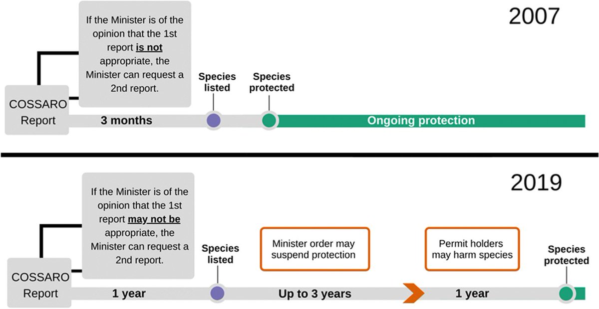 FACETSJournal's tweet photo. Why are changes to Ontario’s Endangered Species Act "likely to put Ontario’s species at greater risk of extinction"? https://t.co/tw0Kd3Spdh #conservation #onpoli https://t.co/wkB2j6BSG3