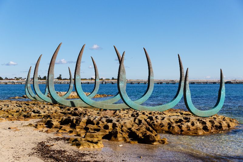 Kamay Botany Bay EEC tweet media