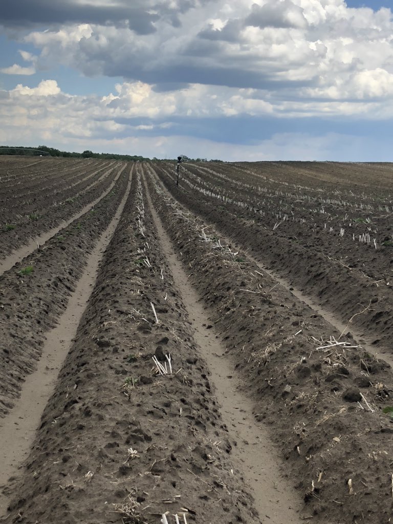 Scott Graham PAg. tweet media