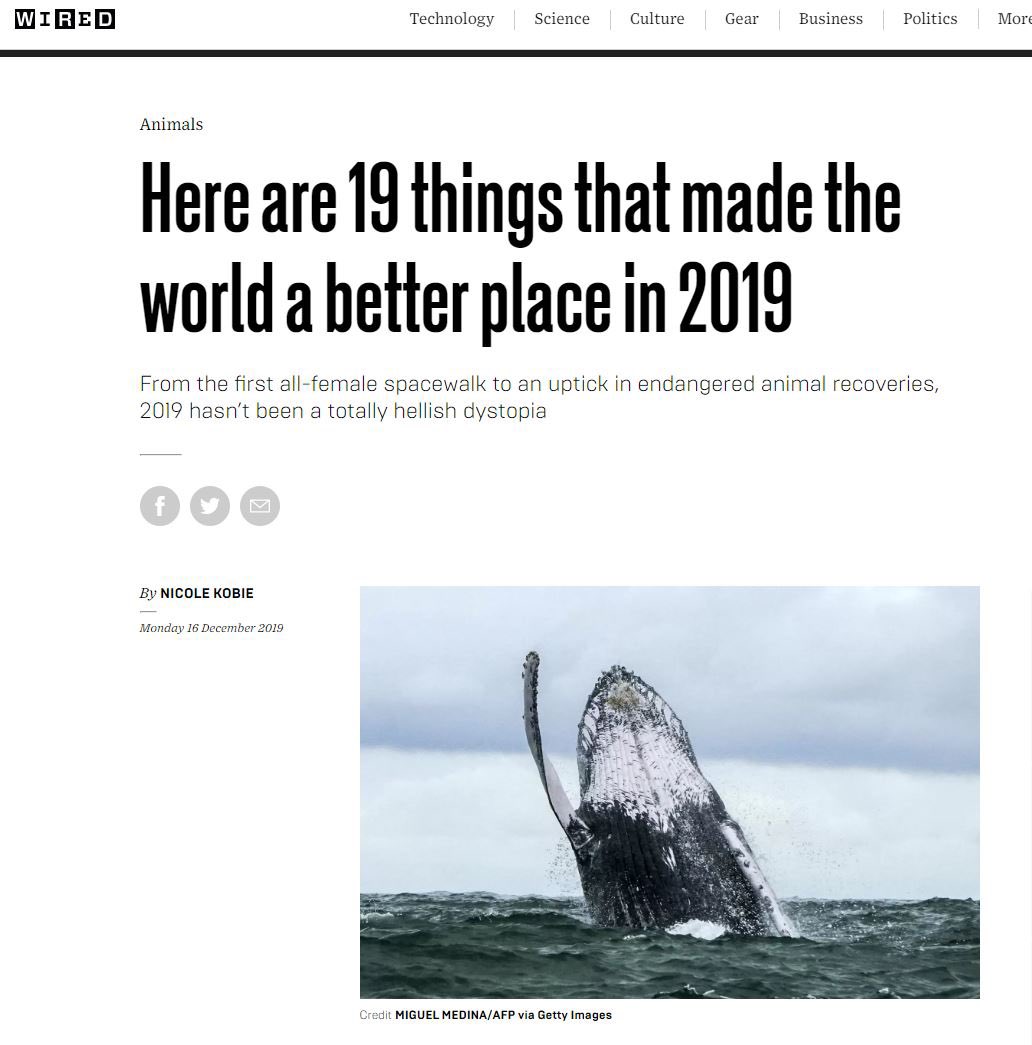 Immerse yourself in some happy news. #Research by MarEcoTel and colleagues revealing a population of #humpbackwhales has recovered was selected as something that made the world a better place! This recovery is huge win for the #conservation world! 

wired.co.uk/article/2019-p…