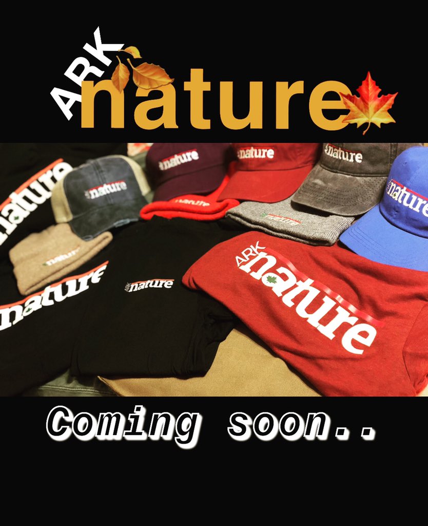 Ark Nature (@arknature) on Twitter photo 