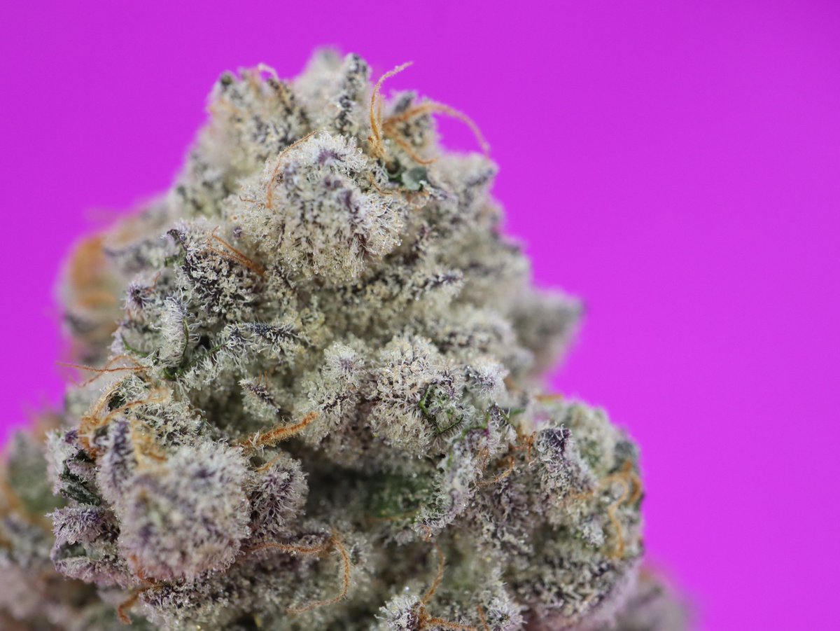 MotherLabs's tweet image. We'll just leave this here...