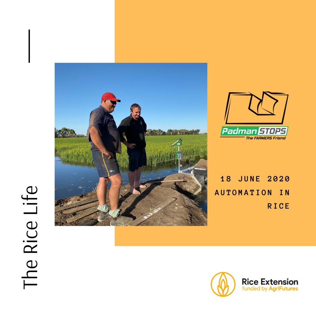 RiceExtension's tweet image. New podcast episode live! Podcast episode this week features automation in rice! @HBrickhill chats with 
@CeRRF_Griffith @soupercocky @PadmanStops
.Learn the advantages that will be delivered to the Rice Industry over the coming seasons. #ausag #auspol
soundcloud.com/user-806246146…