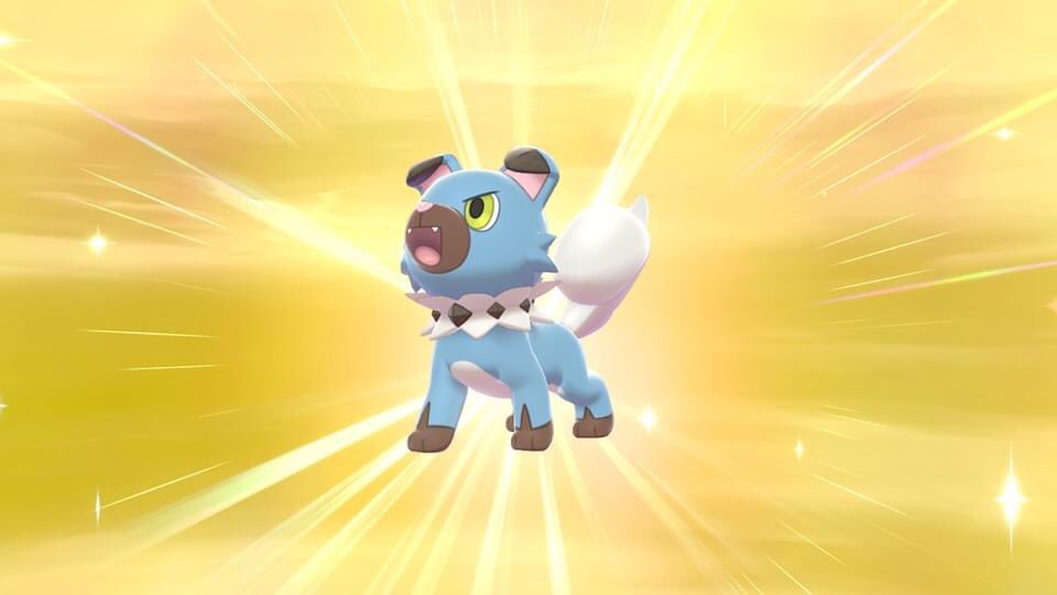 A day one shiny, what surprise but welcome addition to the team. #PokemonShield #IsleOfArmor
