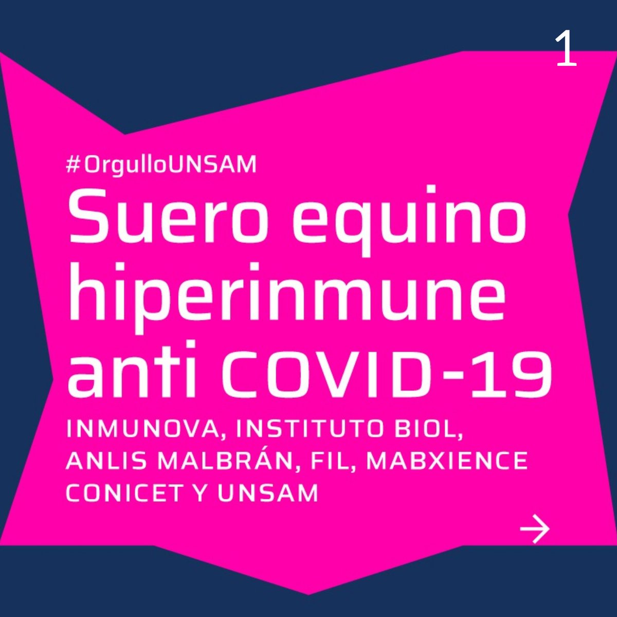 Universidad Nacional de San Martín tweet media