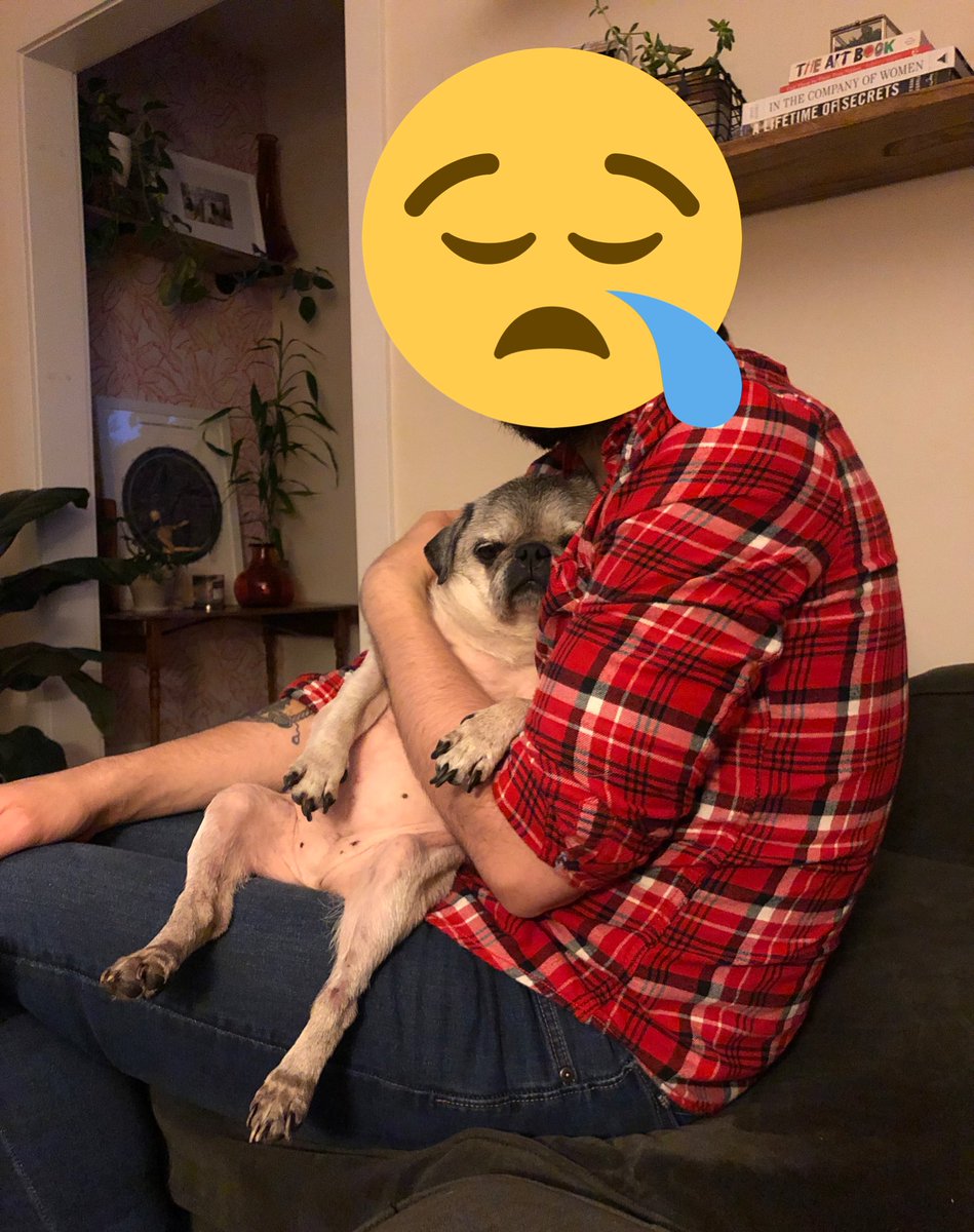 A3: I enjoy my daily 2 a.m. breakfast best! Mostly because my parents hate it. They haven’t slept through the night in MONTHS! 😈

Doggie dementia is real folks! #pugchat