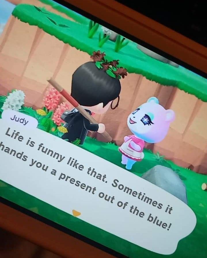 ValleyElder's tweet photo. I found Judy on a Nook Mile Island and have no intention of keeping her. I can amiibo her out if anyone wants her. She's free to the right person.
#acnh #acnhvillagertrade #AnimalCrossing #AnimalCrossingNewHorizons #JudyInBoxes #ACNHJudy https://t.co/lTzRqbjfSo