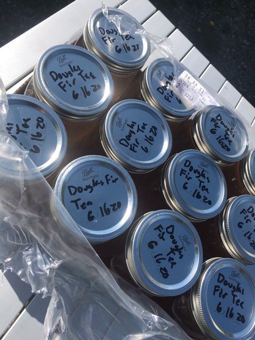 Just made some Douglas fir tea. https://t.co/OqnaJEnmDp<a href="/tag/coronavirus"class="tags"><span>#coronavirus</span></a>