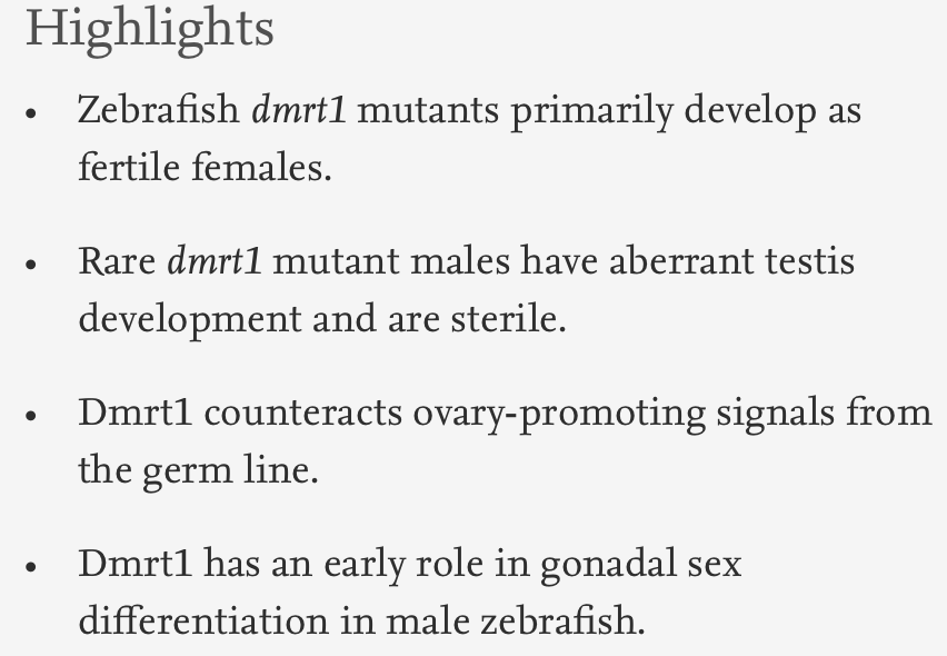 Dev_Bio_Journal's tweet photo. #DBteaser #DBfeatures #DevBio
"Dmrt1 is necessary for male sexual development in zebrafish" by @KaitlynAWebster et al. (2017)
(Paper refd over 80 times & won the runner up spot for DB outstanding paper that year!) https://t.co/lO4vJYjA07…)
Read more -> https://t.co/U3OIqI2bom https://t.co/slTjnAX8QD
