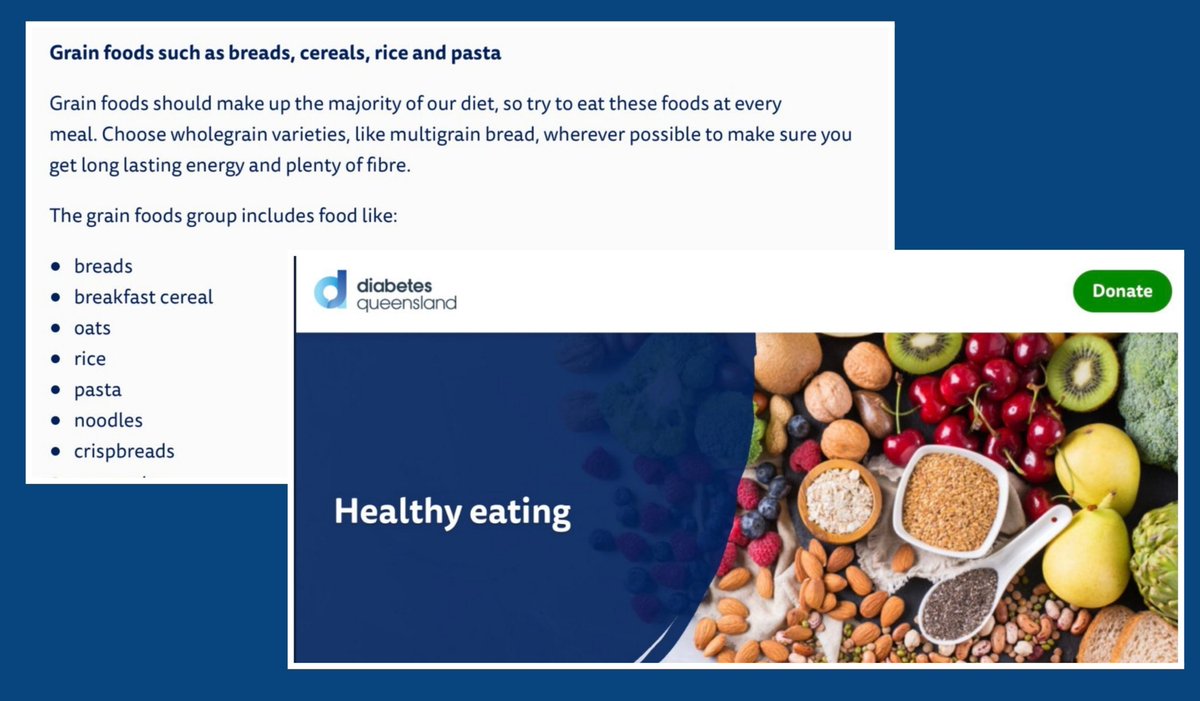 RRDDDDDDDDDD's tweet photo. WHAT?!?! DIABETES AUSTRALIA: "Grain foods should make up the majority of our diet." Diabetes Australia is anti diabetic. If you draw a paycheck from them, resign and apologize. https://t.co/ZvSyXHC7wk