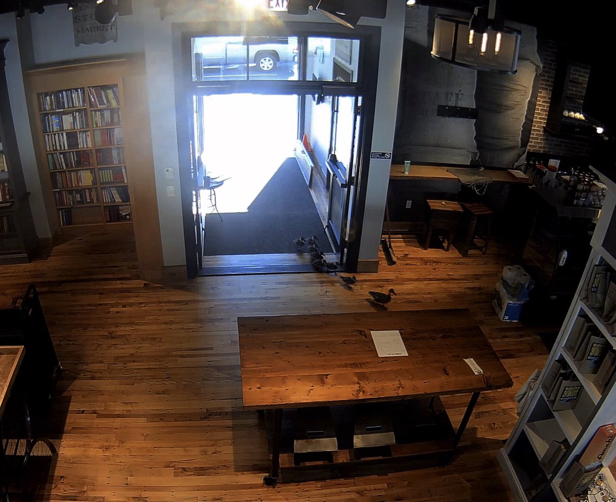 wimpykid's tweet image. Caught on the security camera: This is what happens when we forget to shut the doors at the bookstore. @unlikelybkstore.