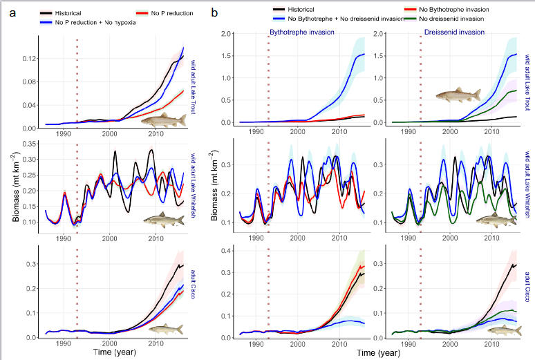 Wow, super interesting new study!
Goto D (2020) Shifting trophic control of fishery–ecosystem dynamics following biological invasions. Ecological Applications
esajournals.onlinelibrary.wiley.com/doi/abs/10.100…