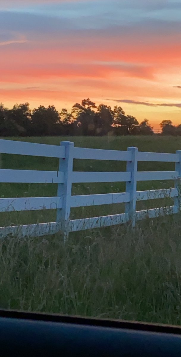 CourtReportKing's tweet photo. A beautiful sunset is across the street from the Erlanger school where friends of Matthew Mangine put flowers on the soccer field fence earlier. Matthew passed away yesterday after collapsing at soccer practice yesterday. How his friends are remembering him tonight on @FOX19 https://t.co/PbD0S6Me5U