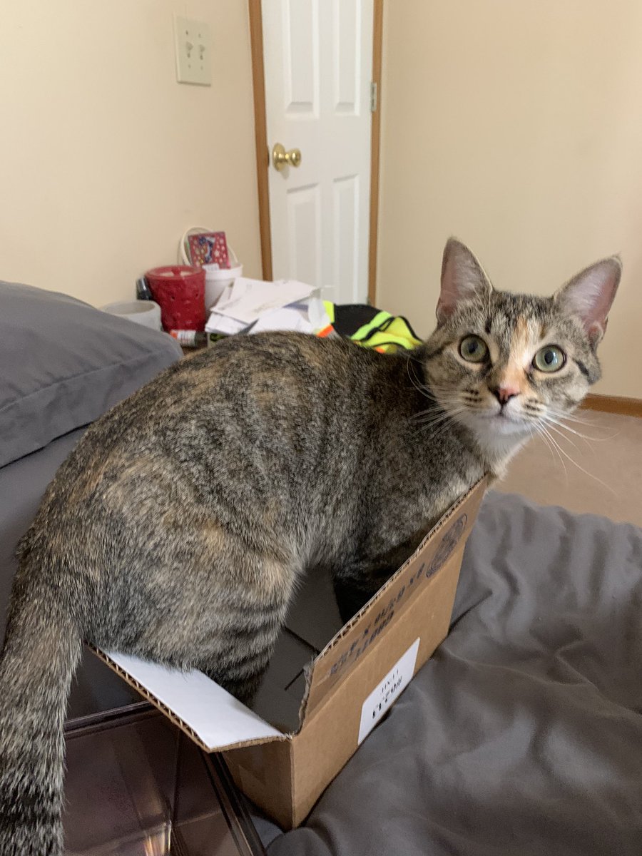 raysueee's tweet photo. If I fits I sits https://t.co/hYrr5qyTxg