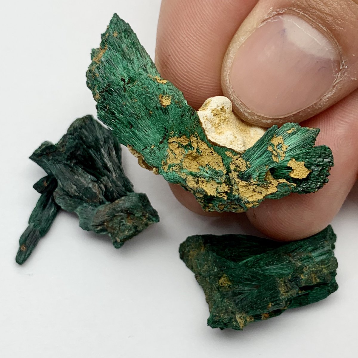 GEMandMShops's tweet photo. Malachite - LOT of Three (3) Shiny Sprays of Fibrous Malachite Crystals - This Specimen is from Sonora, Mexico - #GEMandM #Malachite #FibrousMalachite #Minerals #Crystals https://t.co/hrogde85y8
