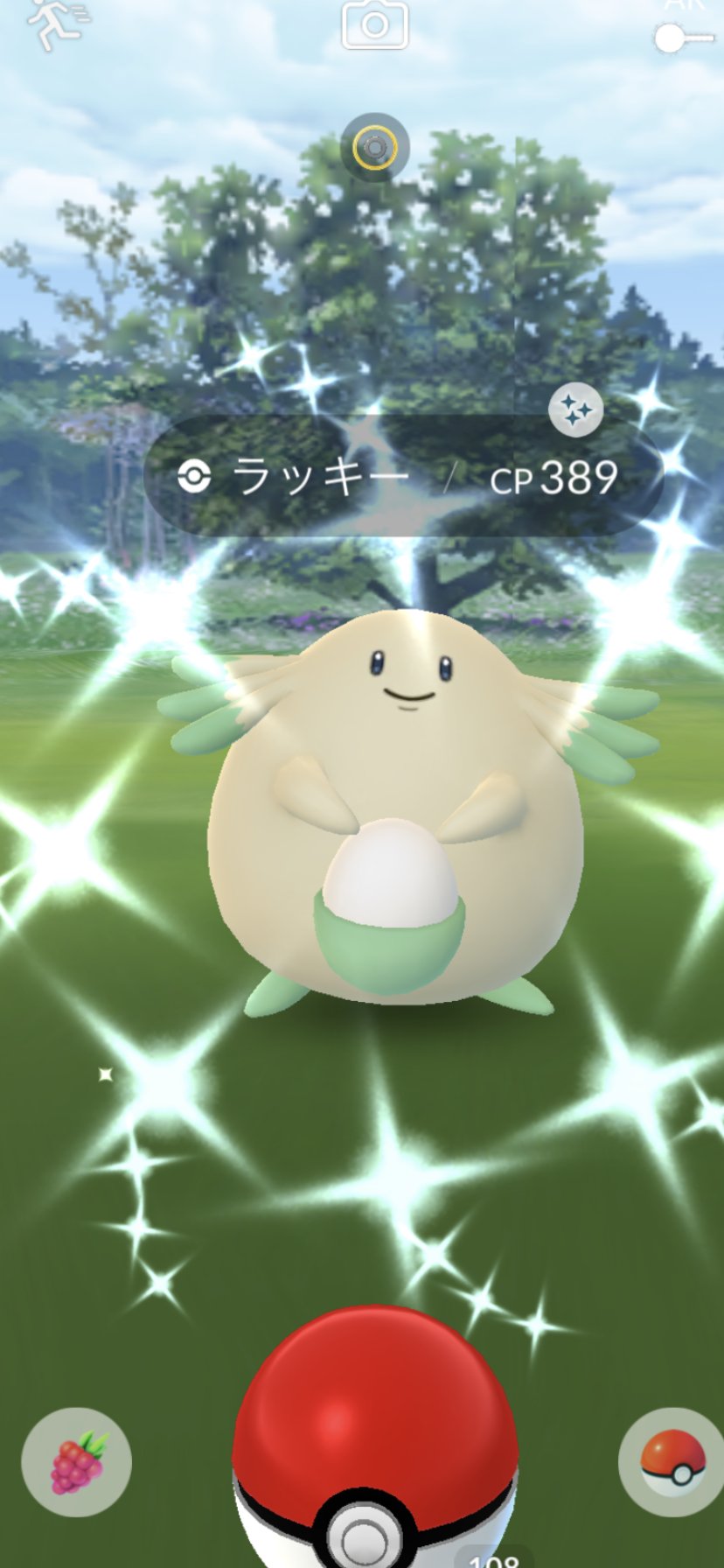 色違いハピナス Twitter Search Twitter