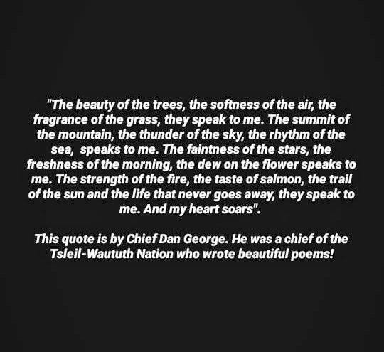 route_social's tweet photo. @robinkermode Nature Communicate🦋 @robinkermode #artofcommunication #chiefdangeorge https://t.co/yXVVHBDUIz