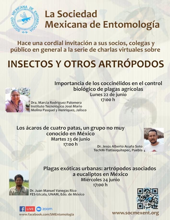 SocMexEntomolog's tweet photo. #CharlasEducativas por nuestro facebook live https://t.co/hpO8UxLUvV #entomologia #insectos https://t.co/fU4X68WqU2
