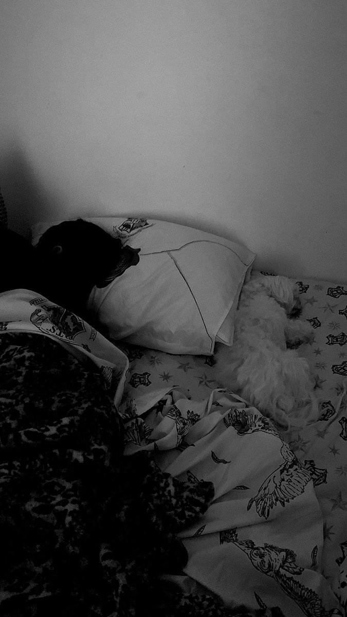 ly_agostini's tweet photo. Dois tiquitos dormindo ❤️ https://t.co/Tu76bGAExh