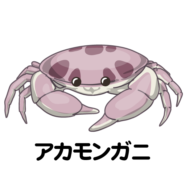 Osawa Izakaya Dragon Twitter Osawa Izakaya Dragon Twitter
