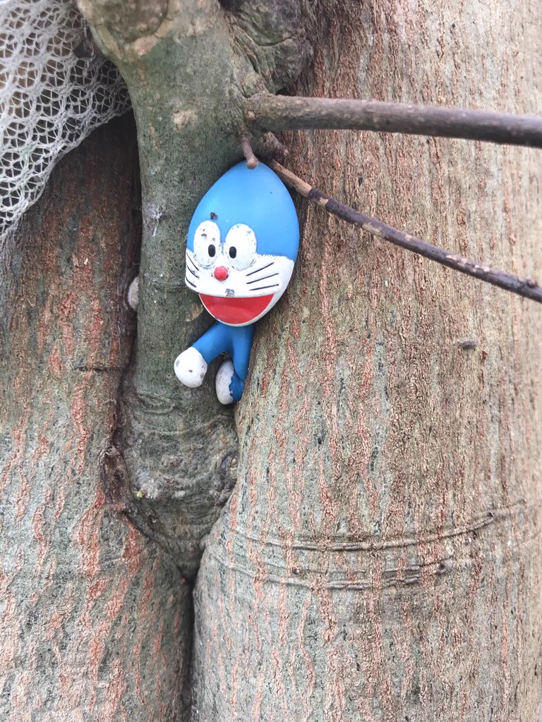 家の木の枝にドラえもんのフィギュアをぶら下げたまま放置した結果･･･www成長した木の一部にwww