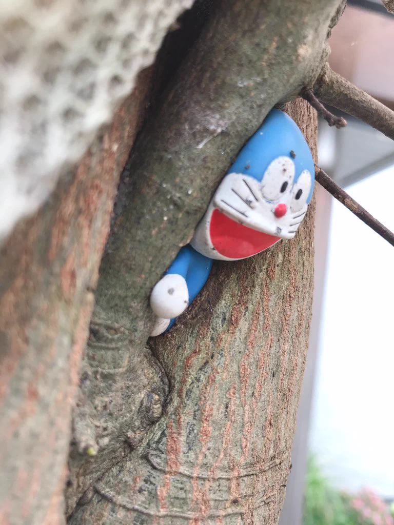 家の木の枝にドラえもんのフィギュアをぶら下げたまま放置した結果･･･www成長した木の一部にwww