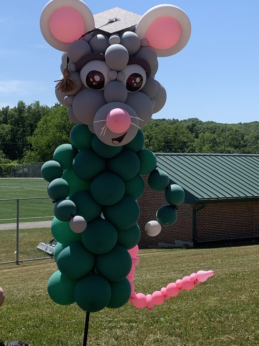 A proud day for  Huron River Rats! 388 Seniors graduated.
