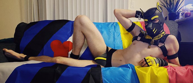 HAPPY PRIDE FROM ONE PUP TO ALL! #PRIDE2020 https://t.co/gKLa3cOLTv<a href="/tag/pride2020"class="tags">#PRIDE2020</a>