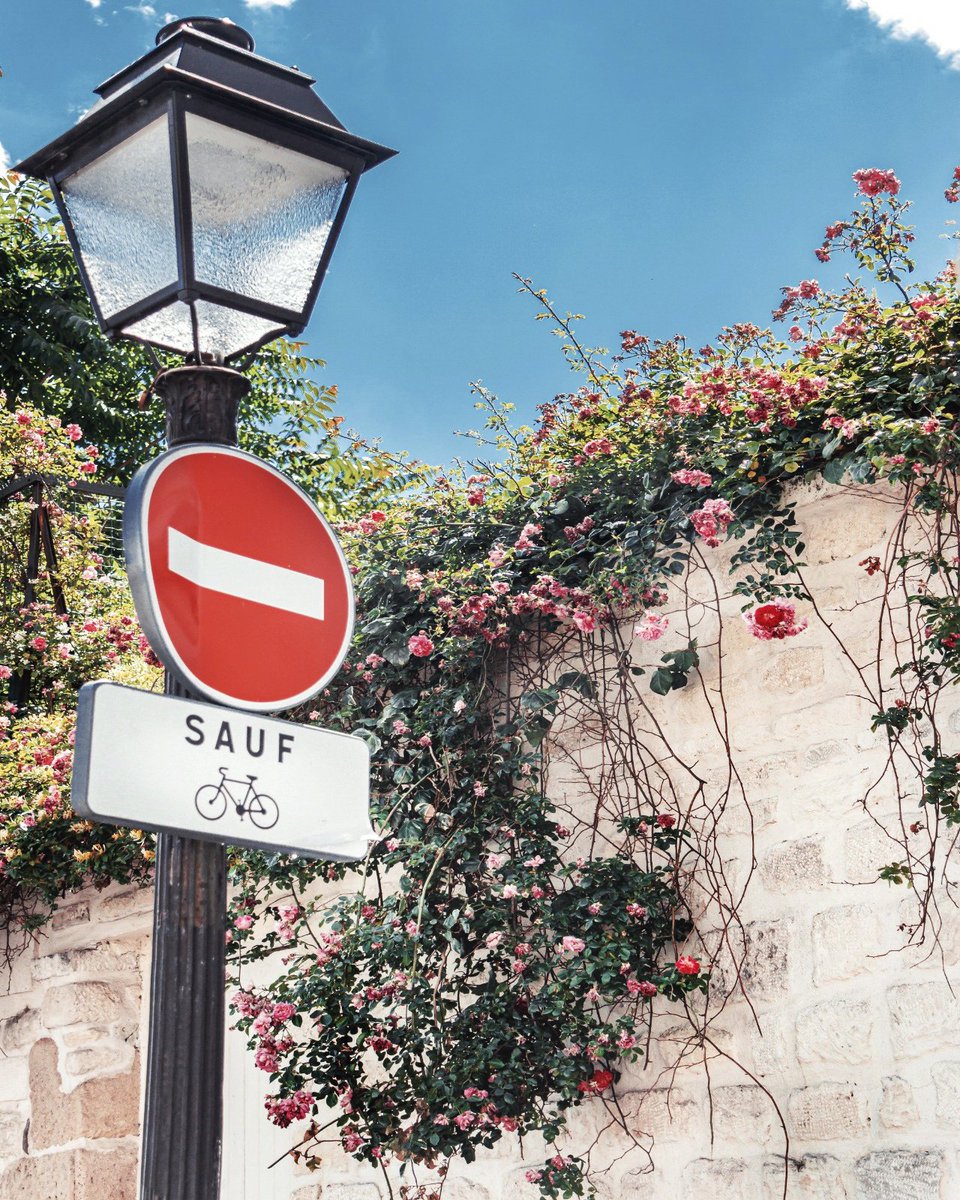 RonGS_'s tweet image. Monmartre sous le soleil #jeudiphoto