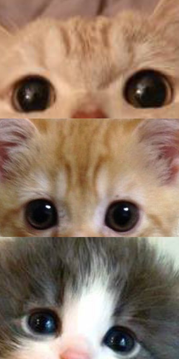__oliveeve's tweet photo. changkyun's eyes     changkyun's eyes
when he's                        when he's
not performing               performing https://t.co/PeIJIAHzfH