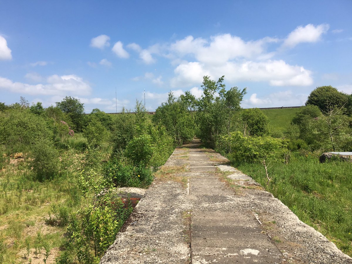 WillieYeomans's tweet photo. So, yesterday’s socially-distanced @ClydeRF fieldwork was the first of two trips to the currently non-clattering Clattering Burn. First visit to some of the sites since 2005 #CorporateMemory. Abandoned sand filters and #amphibian skeleton too! #hips https://t.co/4HfDfK1F6M