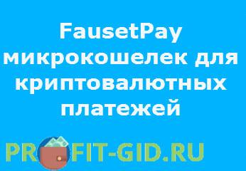 Fausetpay com