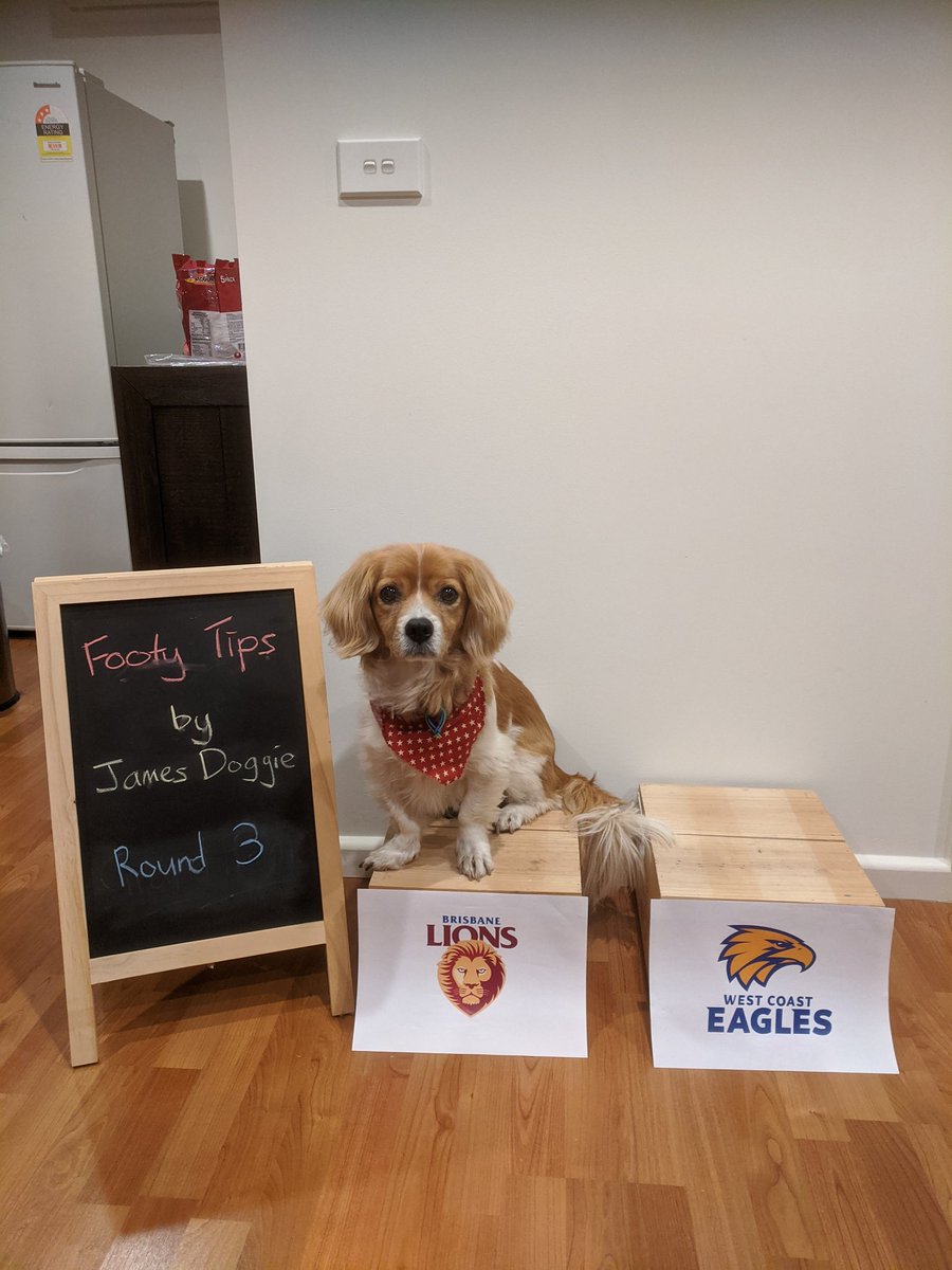 I'm counting on you Lions! <a href="/AFL/">AFL</a> <a href="/brisbanelions/">Brisbane Lions</a> <a href="/WestCoastEagles/">West Coast Eagles</a> #AFLLionsEagles #DoggieTips #AFL