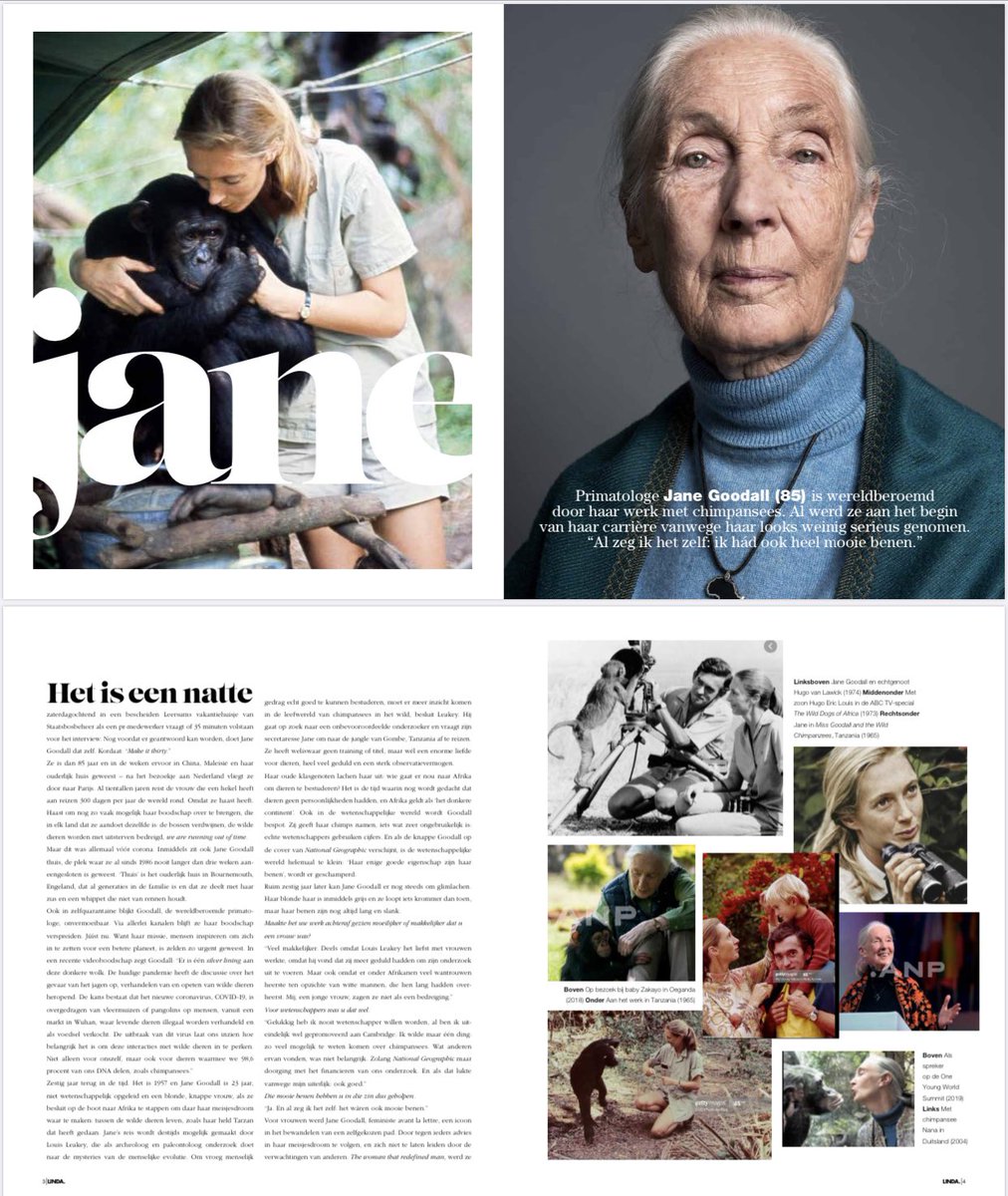 Voor het nieuwe nummer van LINDA. sprak ik Jane Goodall. Haar boodschap is nu misschien wel urgenter dan ooit: ‘Minder bomen kappen, minder vliegen en veel beschaafder omgaan met dieren. Ieder van ons kan elke dag besluiten zijn of haar steentje bij te dragen.’ 📸 <a href="/RobinDePuy/">Robin de Puy</a>