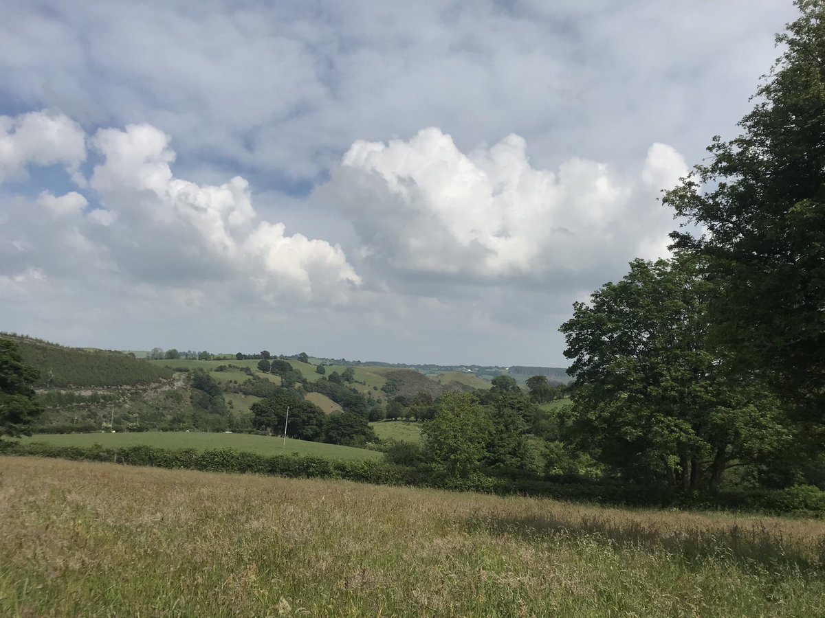 Great to see some places coming alive yesterday en route to a new project in #Shropshire