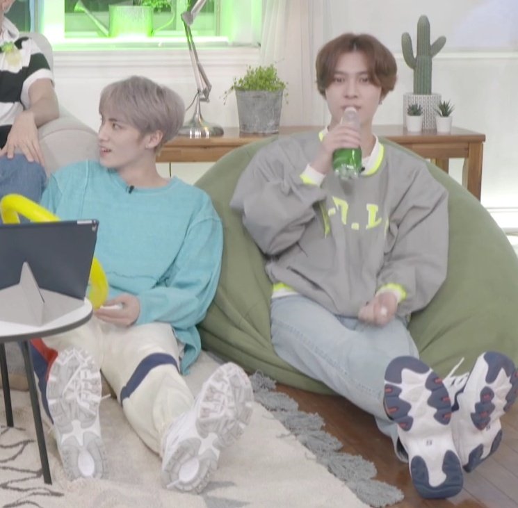 hendery as ragdolls 🐱 tweet media