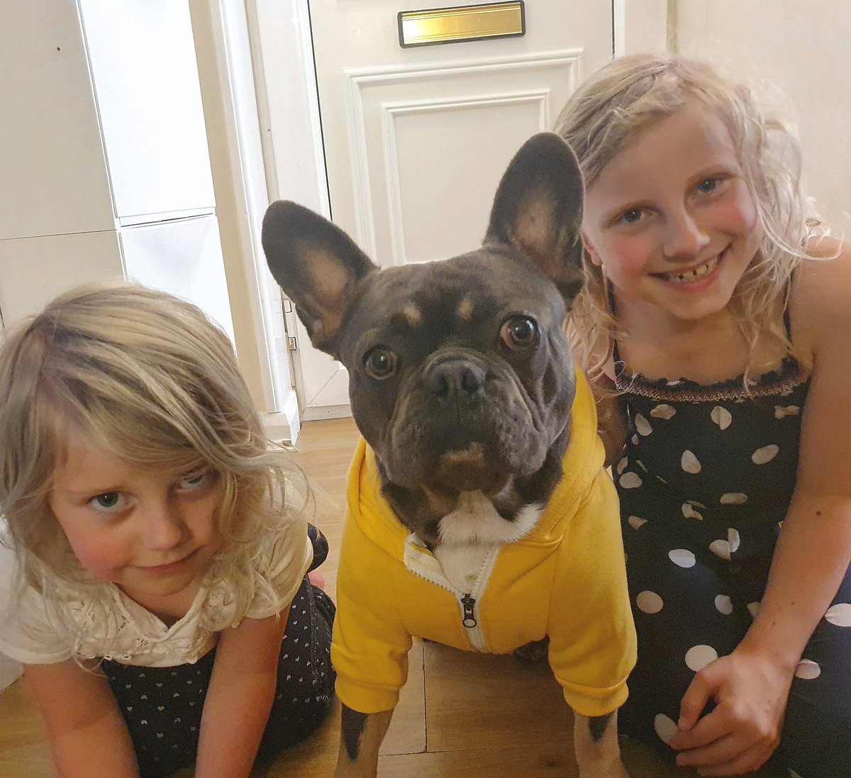 AngelaL43386877's tweet photo. Our family just got a little bigger and a lot more full of @Joulesclothing #frenchbulldog @MissC73142296 @robinsgps https://t.co/E2HKGhMrv7