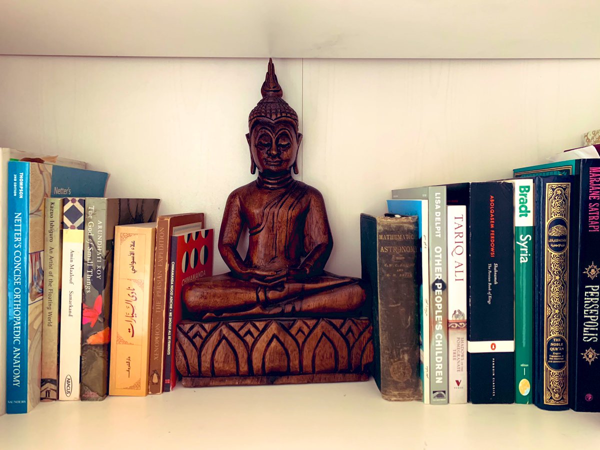 Watching the Art of Persia the other night has prompted me to reread this entire shelf.Except Netters. That can shove itself where the Sun don’t shine.