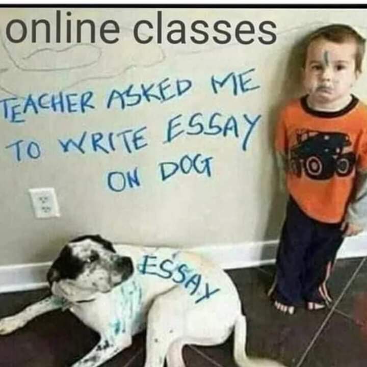 DWMOfficial's tweet image. Say No To Online Classes
#OnlineClassesFailed