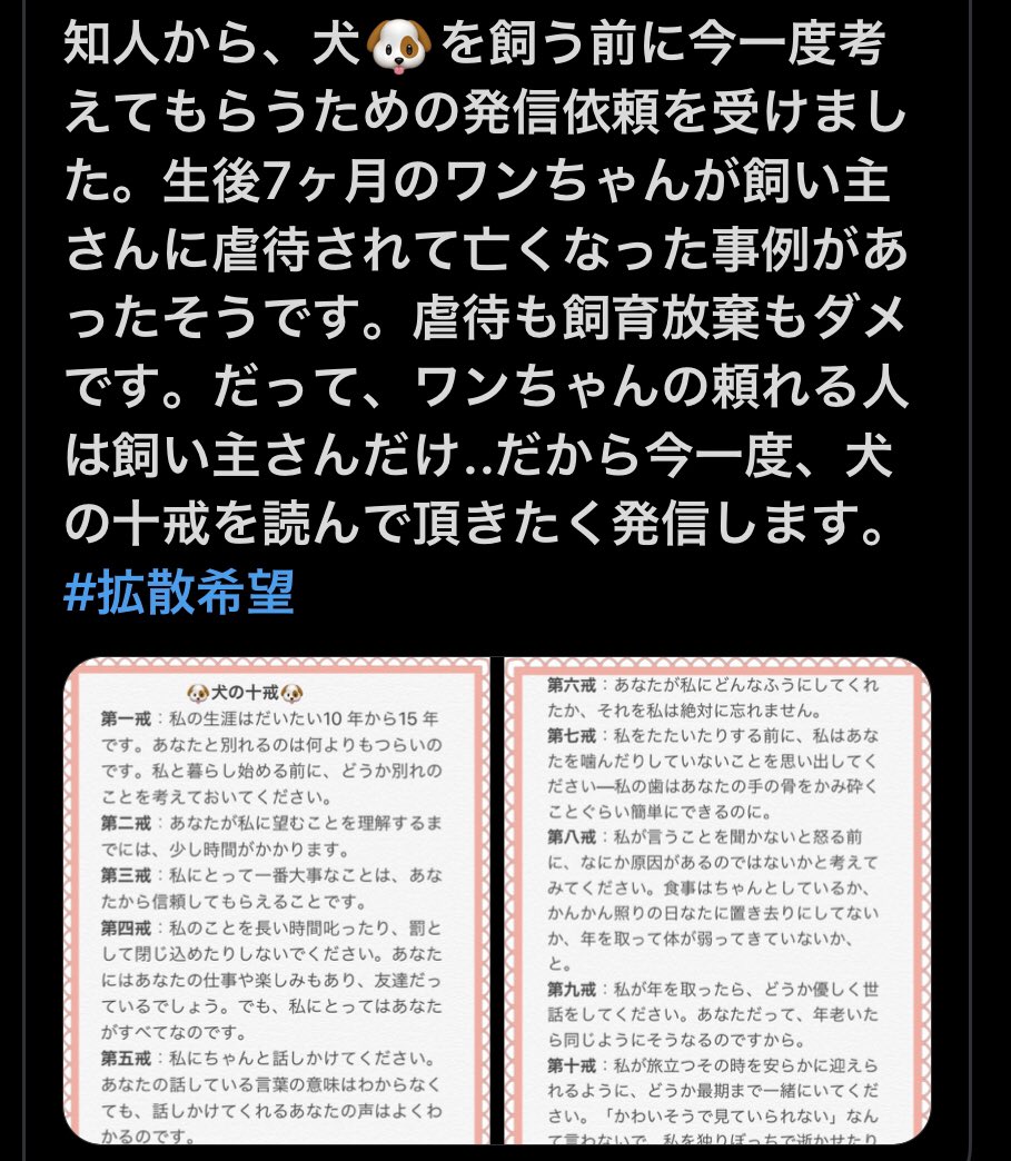 NAO(本人です) tweet media