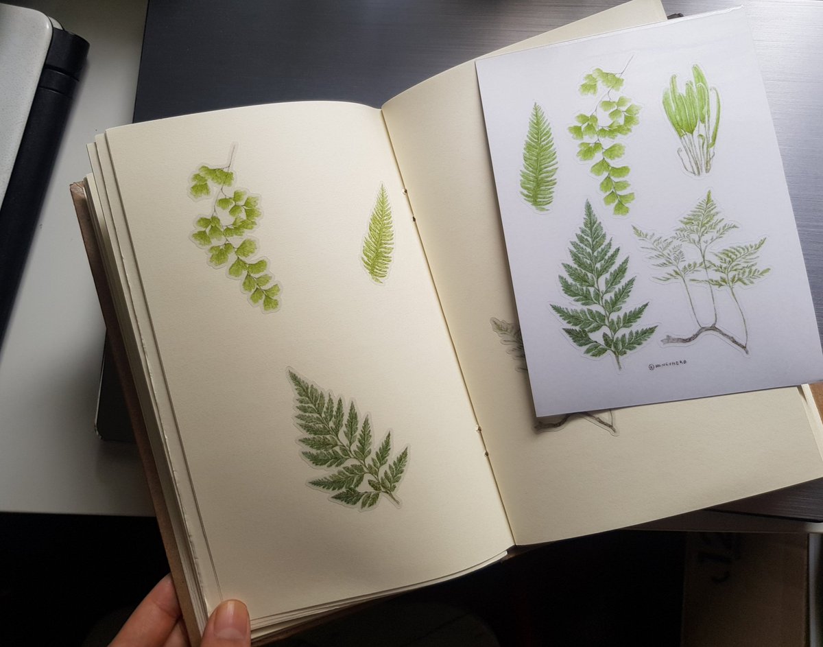 🍂 – rewilding tweet media