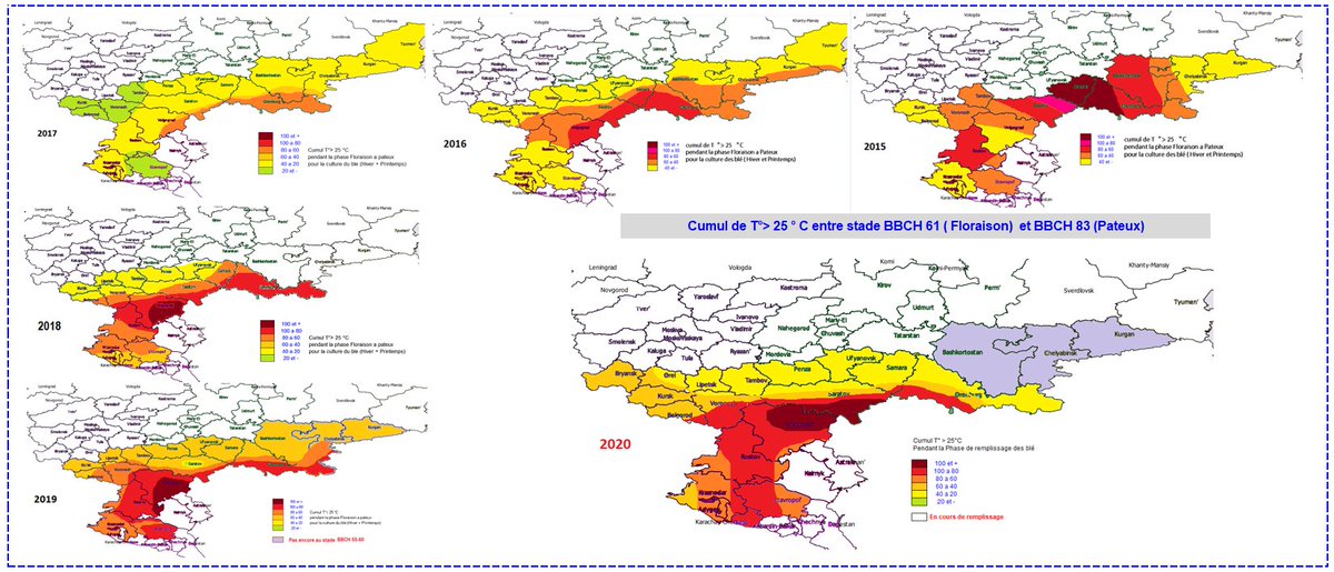 Visio-Crop tweet media