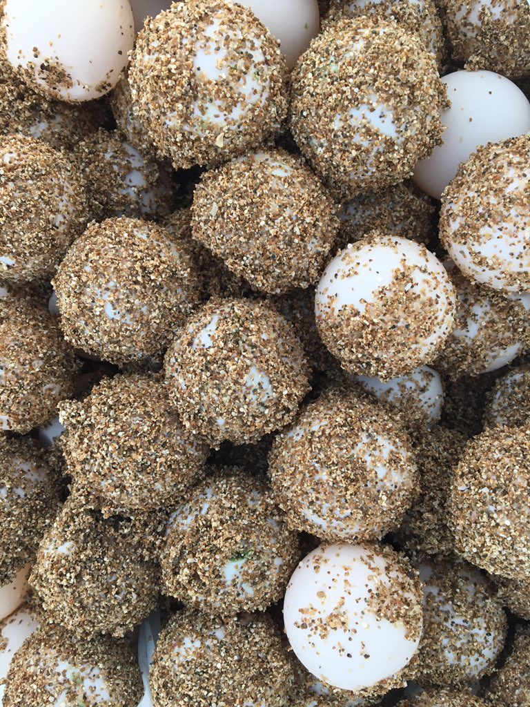 JanWaltmans's tweet photo. Fantastic to get up at 4.30 am and find tracks of a turtle and 67 eggs at Children Turtle Center at Mansouri. A #Lebanon treasure that requires protection at all levels. #omsar #wwf https://t.co/XRXp2w9ikI