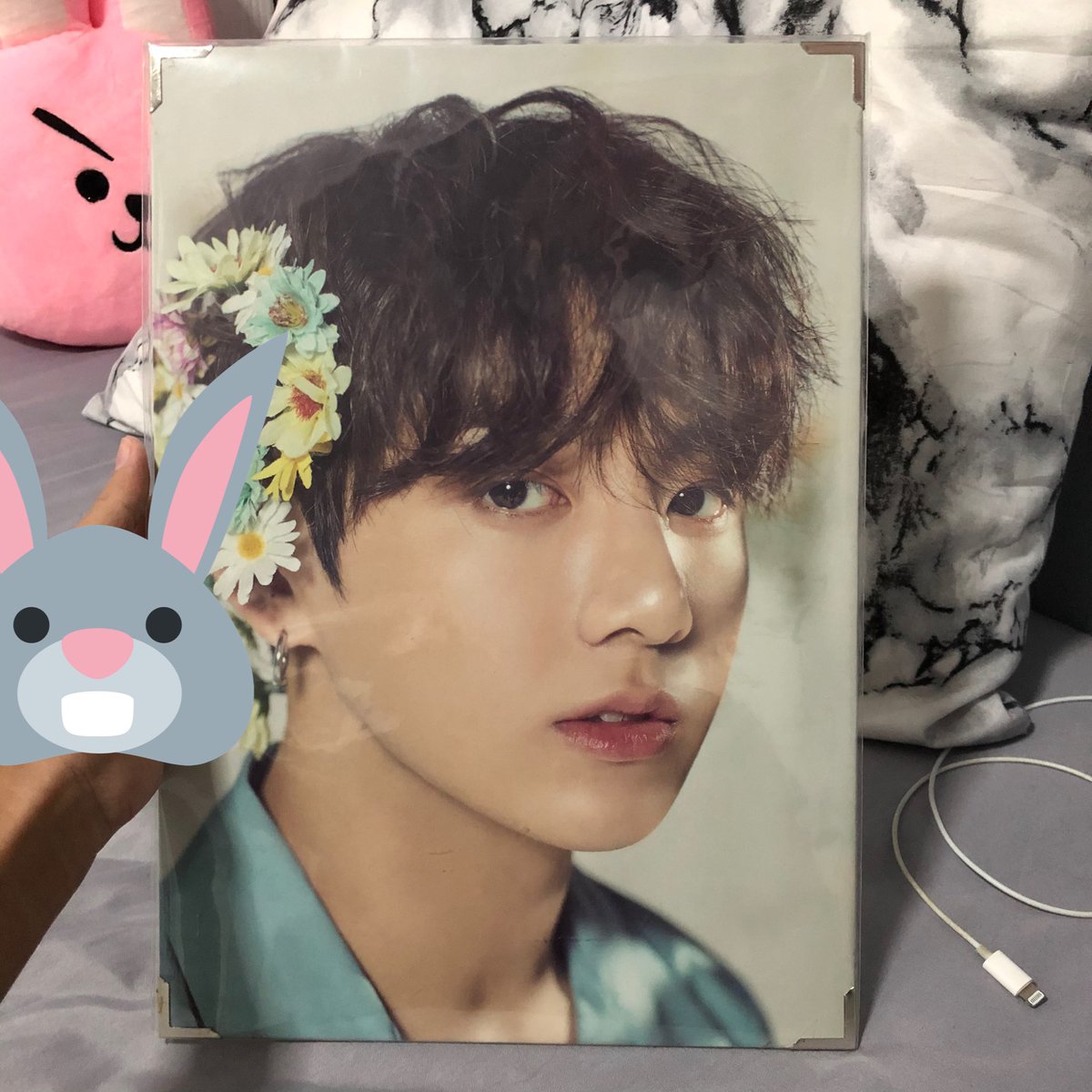도현 요랑 tweet media