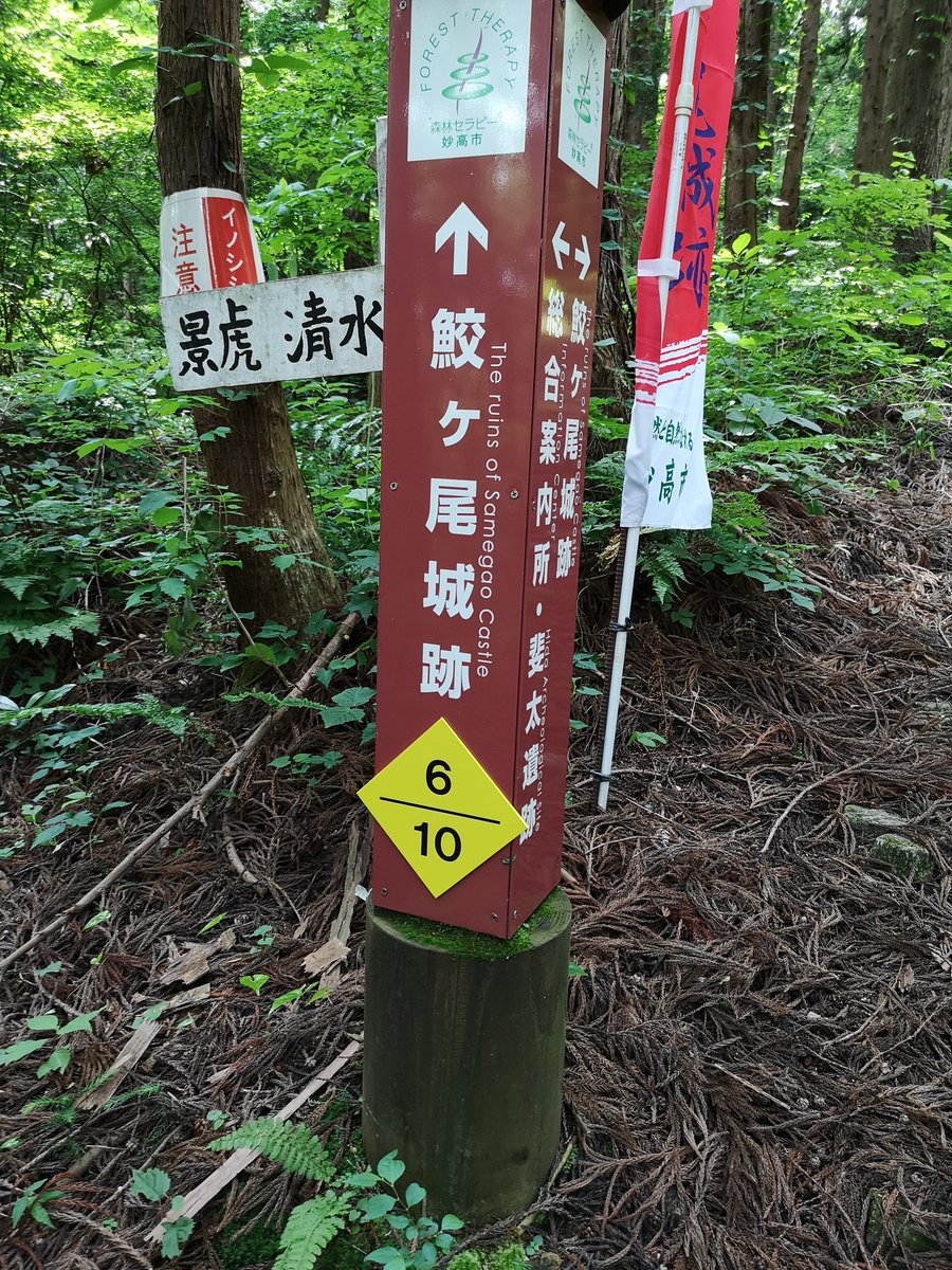 samegao77's tweet photo. 斐太歴史の里より
鮫ヶ尾城跡登城道の表示板が新しく付け替えられた💕
本丸までの目安が解りやすくなりましたよ🤗
#妙高市 #斐太歴史の里 #続日本100名城 #鮫ヶ尾城跡 #スタンプラリー #myoko #hidarekishinosato
#samegaocastle https://t.co/8IrbtTjzTk