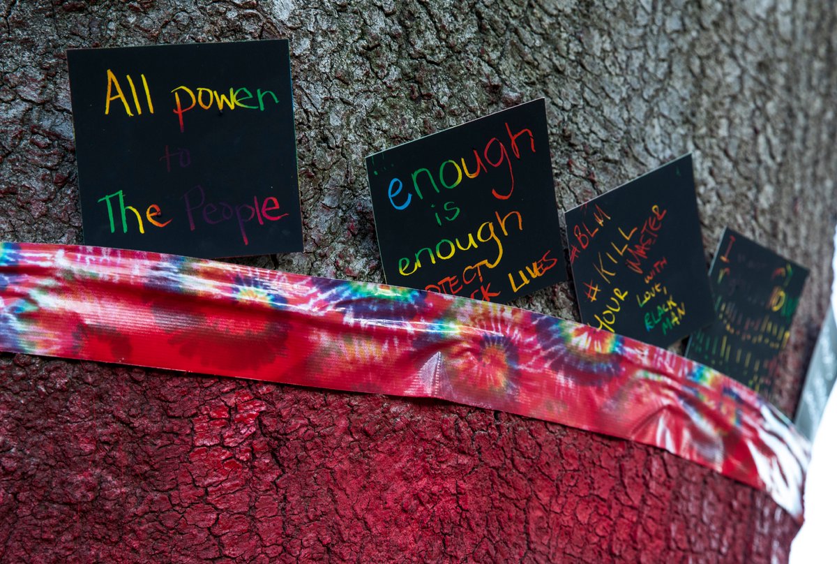 San Francisco Chronicle tweet media