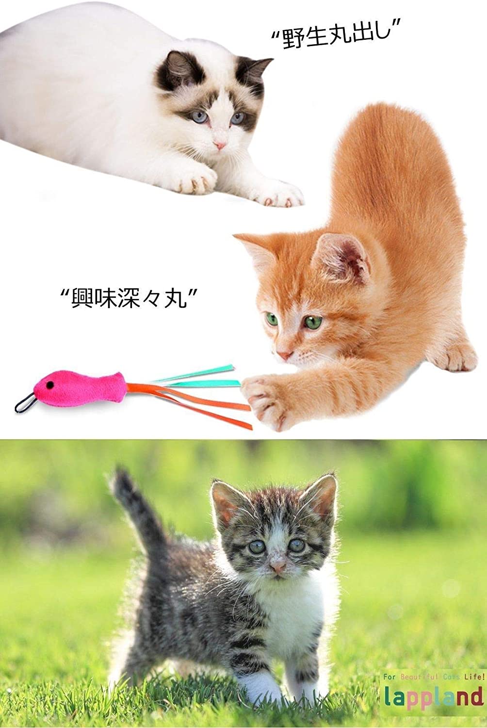 中華業者商品画像bot T Co K6ubadcyvy Twitter