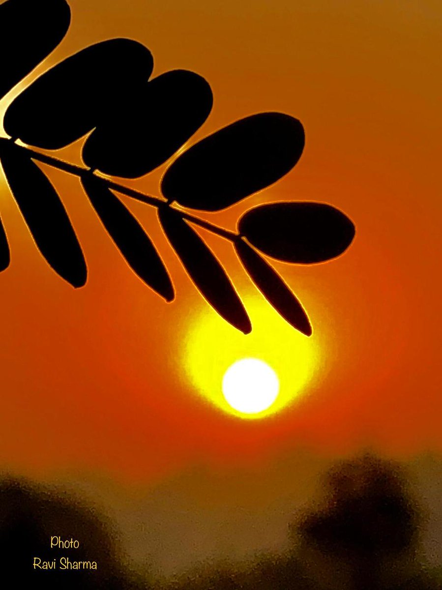 the_chetna's tweet photo. विश्व चाहे या न चाहे,
लोग समझे या न समझे,
आ गए हैं हम यहाँ तो गीत गाकर ही उठेंगे
हम जले हैं तो धरा को जगमगा कर ही उठेंगे
हम कहानी प्यार की पूरी सुनाकर ही उठेंगे
जिन्दगी की हम नई सूरत बनाकर ही उठेंगे
विश्व चाहे या न चाहे!
#नीरजकवि
#SpreadingGoodness
#जीतेंगेहमजीतेंगे
#JeetengeHum https://t.co/Qfp8JYHexk